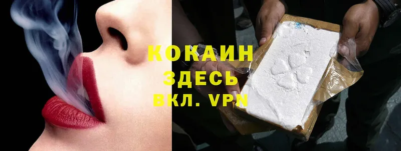 наркота  Ессентуки  Cocaine VHQ 