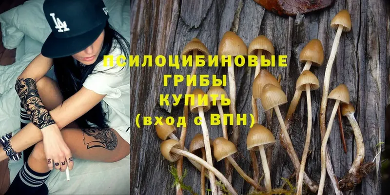 Галлюциногенные грибы MAGIC MUSHROOMS  Ессентуки 